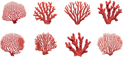 Collection of eight red coral branches sea life forms intricate branching patterns transparent background