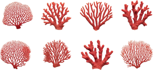 Fototapete Korallenriff Collection of eight red coral branches sea life forms intricate branching patterns transparent background  © PNG Creative