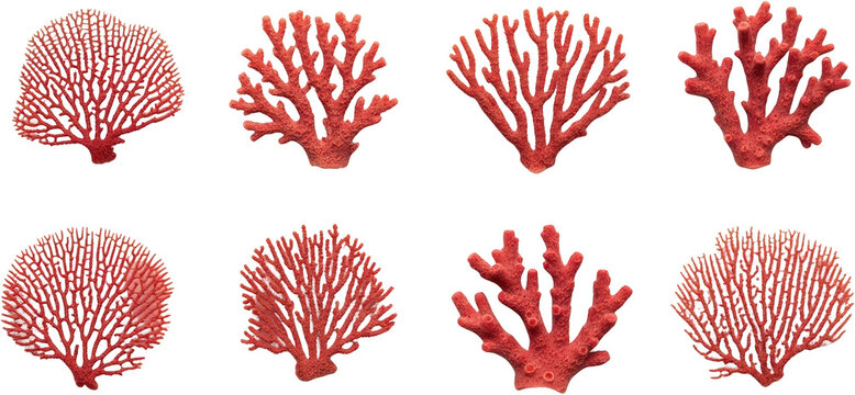 Collection of eight red coral branches sea life forms intricate branching patterns transparent background