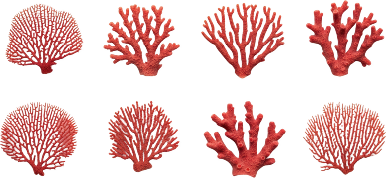 Collection of eight red coral branches sea life forms intricate branching patterns transparent background