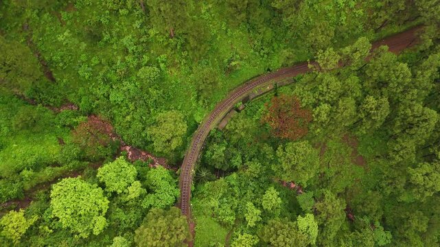 Wide angle cinematic Aerial Look-Down tracking drone video of Narrow Gauge Railway tracks through Lush green Forest during monsoon in Solan near Shimla, Himachal Pradesh, India, Asia