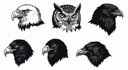 Flying wild birds and different animals vector art illustration set with eagle, owl, cat, hawk, and feather designs