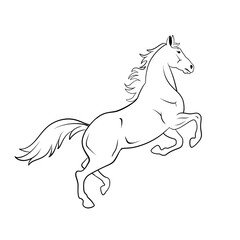 horse outline