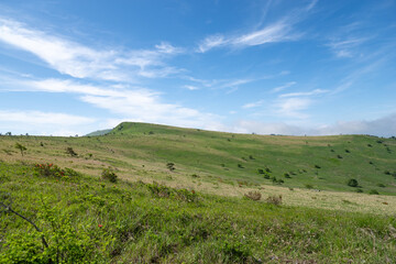 Fototapeta premium 爽やかな朝の高原 霧ヶ峰