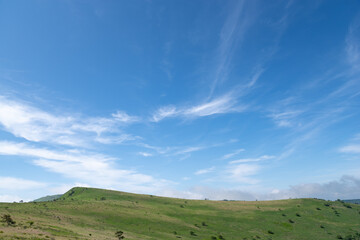 Obraz premium 爽やかな朝の高原 霧ヶ峰