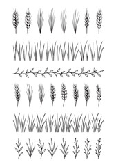 Hand-drawn wheat, grass, and foliage collection