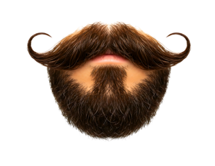 Close up of a man s brown beard and mustache with curled ends