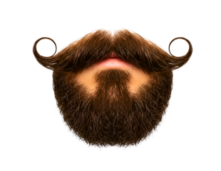 Close up of a man s brown beard and mustache with curled ends