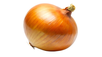 onion isolated on white