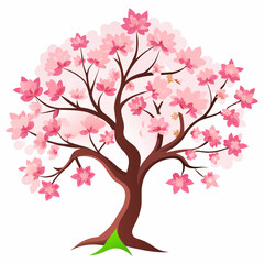 Fototapeta premium Beautiful pink cherry blossom tree with delicate petals isolated on white background