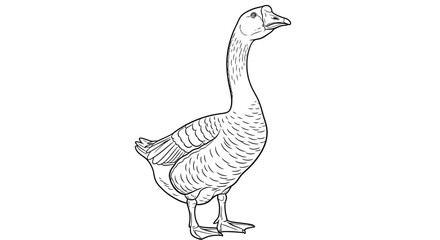 Fototapeta premium Complex Active Asian Goose Standing Detailed Coloring Page Design for Adult Relaxation
