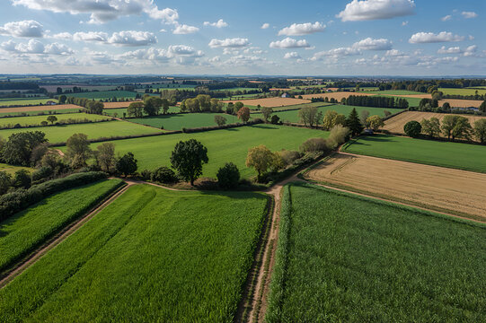 Aerial View of Lush Farmlands Under a Bright Blue Sky