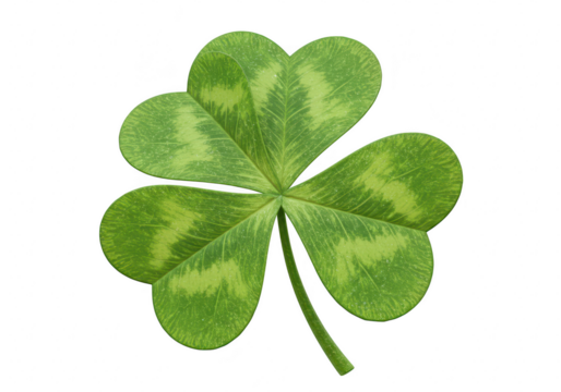 A vibrant green shamrock with four leaves, symbolizing luck and good fortune isolated on transparent background
