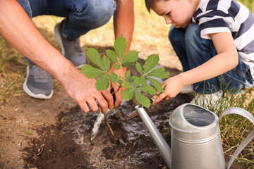 Father and his son planting tree into soil outdoors, closeup