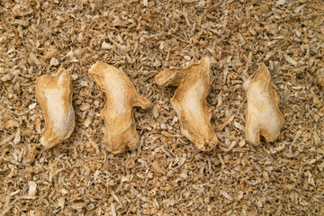 Whole dried ginger root arranged in a row on a textured crushed ginger background.