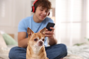 Cute dog and teenage boy with smartphone on bed at home, selective focus