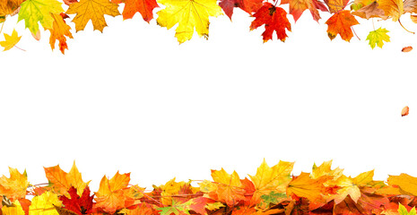 frame of colorful autumn leaves isolated on transparent background