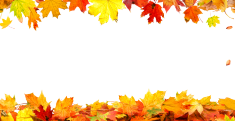 frame of colorful autumn leaves isolated on transparent background