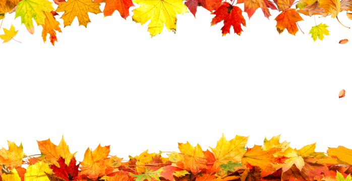 frame of colorful autumn leaves isolated on transparent background