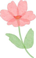 수채화 꽃 일러스트