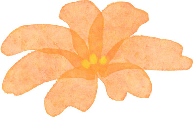 수채화 꽃 일러스트