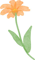 수채화 꽃 일러스트