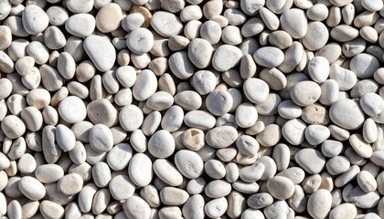 Flat Pebble Stone Surface Texture with Smooth Small Stones