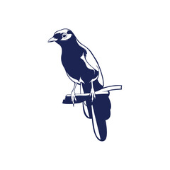 Magpie Bird logo design vector. Silhouette Magpie Bird Template Illustration