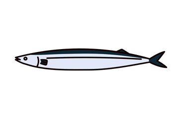 サンマのイラスト