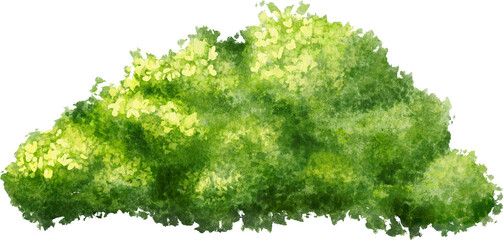 Lush Watercolor Green Bush illustration