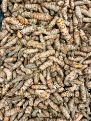 Tumeric roots close up top view background. Curcumin roots piles top view in supermarker or market for sale