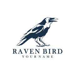 Raven Bird logo design vector. Silhouette Raven Bird Template Illustration.