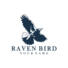 Fototapeta premium Raven Bird logo design vector. Silhouette Raven Bird Template Illustration.