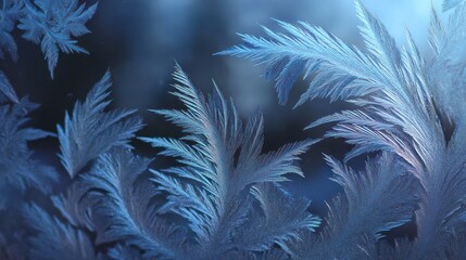 Frozen ice crystals on a window
