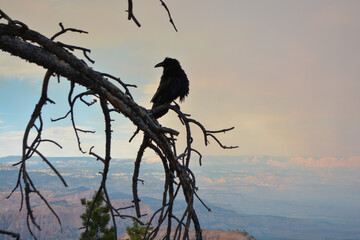 Family hiking in red mountains in Utah on summer vacation. Friends hiking Fairyland Loop Trail . Bryce Canyon National Park, Utah, USA.