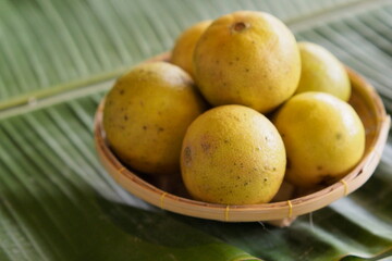 Bountiful Kaffir Limes Nestled: Fragrant Harvest from Tropical Lands