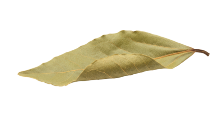 Dried Bay Leaf Isolated on White Background.