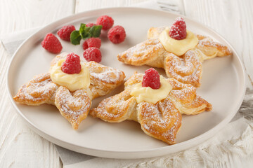 Vanilla puff pastries filled with delicate custard cream and fresh raspberries close-up in a plate on the table. Horizontal