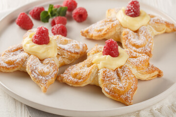 Festive puff pastries filled with vanilla custard and fresh raspberries close-up in a plate on a table. Horizontal