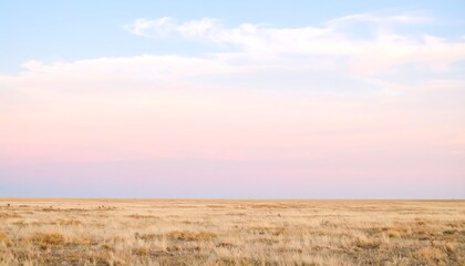 Fototapeta premium Vast, golden plains at twilight