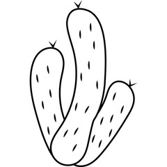 Cactus Outline
