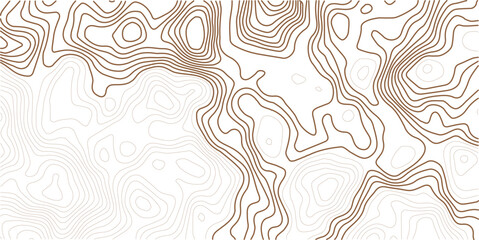 Fototapeta premium Contour topographic map. Geographic grid map background. Golden lines on white background. Vector illustration.