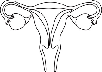 Simple black and white line drawing of human uterus diagram