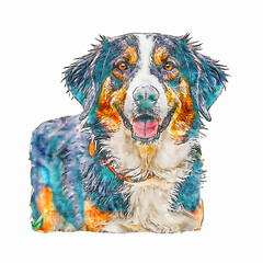 Artistic Watercolor Bernese Mountain Dog Illustration Adorable Smiling Face Animal Art