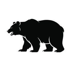 Silhouette of a fierce grizzly bear walking with its mouth open and teeth bared