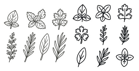 Set of stylized plant leaves in black and white. The leaves are arranged in a grid, with some overlapping and others standing alone. Scene is calm and serene, with the simple lines