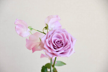 ばらとスイートピー