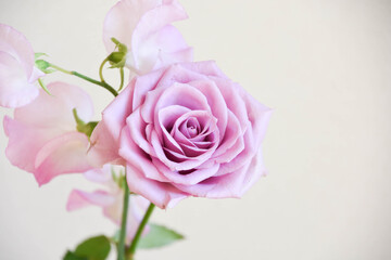 薔薇とスイートピー