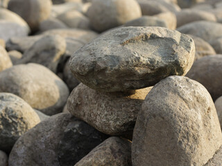 A collection of intact coral stones in a round shape, with sunlight in the afternoon.