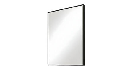 Black framed rectangular wall mirror